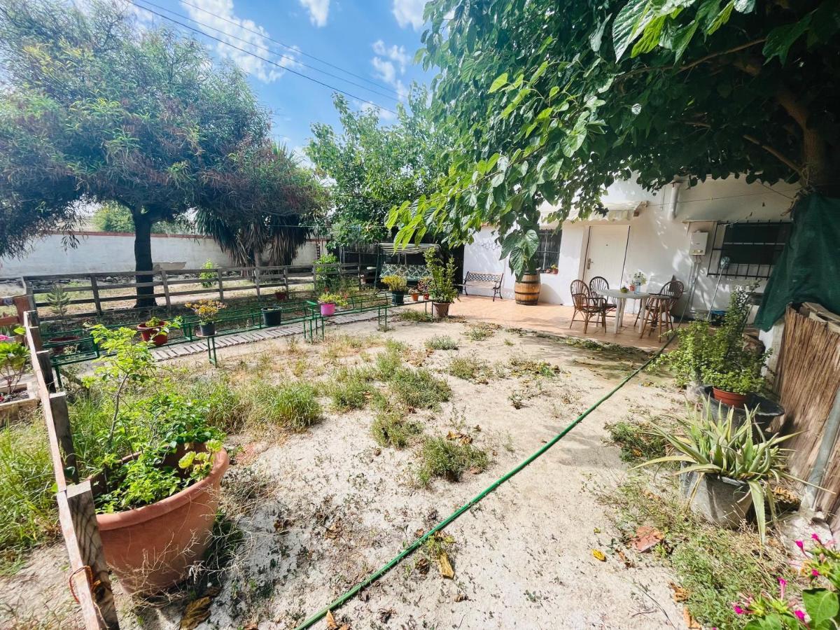 Estudio Adosado Con Jardin Y Parking Privado อาลิกันเต ภายนอก รูปภาพ