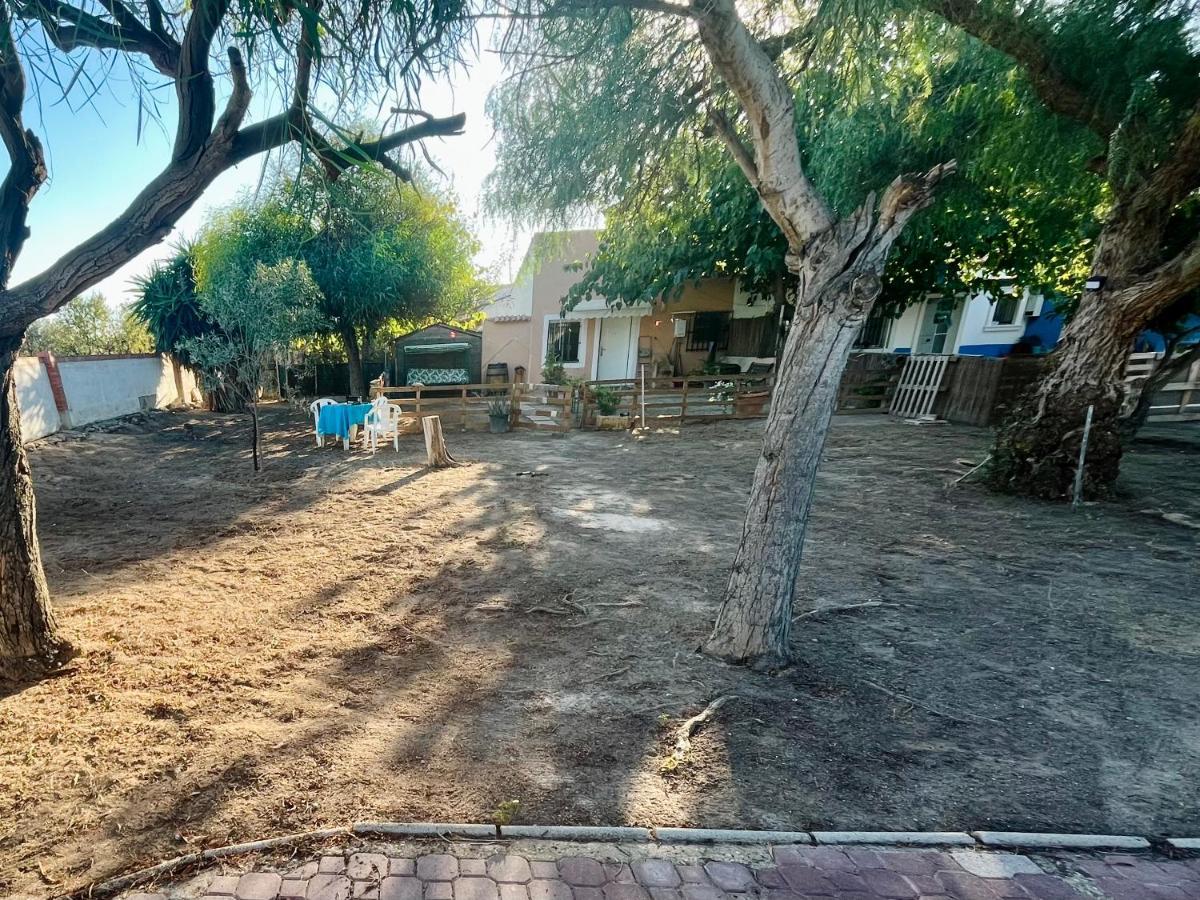 Estudio Adosado Con Jardin Y Parking Privado อาลิกันเต ภายนอก รูปภาพ